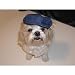 Newsboy Cap