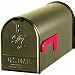 Solar Group E11BZ#T1 Elite Series Rural Mailbox