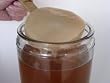Kombucha Starter