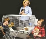 Marshall Chalet Small-Animal House