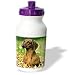 dachshund28 - Dogs Dachshund Smooth Dachshund Water Bottles