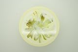 The Body Shop Moringa Body Butter 200ml