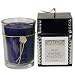 Votivo Aromatic Candle - Winter Soltice