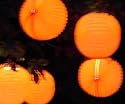 Orange Solid Garden Lanterns(5 pack)
