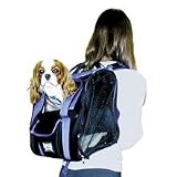 Fh Travel Gear Backpack Red