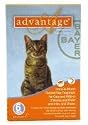 Bayer ADVANTAGE6-ORANGE Advantage 6 Pack Cat 0 - 9 Lbs. - Orange