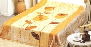 Floral Solaron Korean Thick Mink Plush Blanket Queen