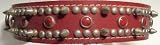 Scott Latigo Collar Xd Spiked 1.5 X 22 Burg