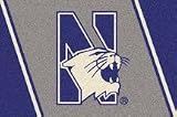 Northwestern Wildcats 2' 8 x 3' 10 Team Spirit Area Rug