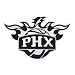 Phoenix Suns Silver Auto Emblem