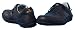 J SHOES 'Hoops' - Alligator