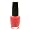 OPI on Collins Ave