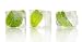 And Mint Ice - 48W x 25H - Peel and Stick Wall Decal by Wallmonkeys