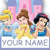 Sandylion Disney Princess Door Name Plate
