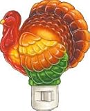 Review Roman Inc.  / Turkey Night Light