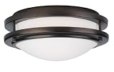 Cambridge Contemporary Fluorescent Bronze Flushmount - 10.75 inches wide