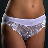Sheer brief panty