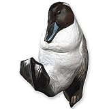 Pintail Coat Hook