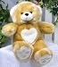 Heart & Soul Bear 15
