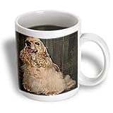 Dogs Cocker Spaniel - Cocker Spaniel - Mugs