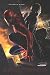 SPIDERMAN 3 - ORIGINAL MOVIE POSTER - SPIDER-MAN(Size 27