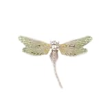 Image of Enamelled Dragonfly Brooch- Lime Green