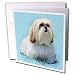 777images Digital Paintings Pets - White Lhasa Apso Dog Digital Oil Painting - Greeting Cards-12 Greeting Cards with envelopes