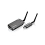 IOGear Wireless USB to VGA Kit GUW2015VKIT