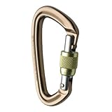 Black Diamond Positron Screwgate Carabiner