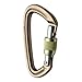 Black Diamond Positron Screwgate Carabiner