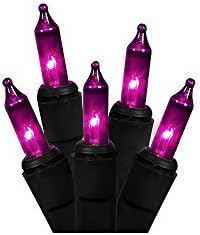 Northlight Pink Purple Mini Halloween or Christmas Lights with Black Wire, Set of 100 by Bounceboard