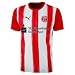 Fortuna Düsseldorf Heimtrikot Herren 2010-2011