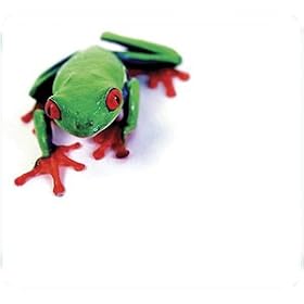 Click here to buy Allsop Tree Frog Mouse Pad - Mouse pad by Allsop.