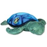 Twilight Sea Turtle