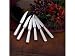 Ricci Argentieri Art Deco Steak Knife Set Set of 6