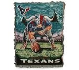 Houston Astros Woven Tapestry Throw