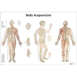 Body Acupuncture - Anatomical Chart