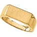 Jewelry : 14K White Gold Men's Signet Ring With Brush Finished Top