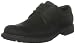 Timberland Men's City Adventure -Stormbuck Plain Toe Oxford