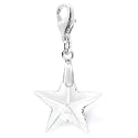 Star Charm