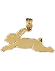 Dazzlers Solid 14k Gold Rabbit Charm Pendant Available in three colors from jewelsberry (weights: 1.7 grams only)