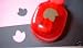 EK Success Paper Shaper Small Punch TULIP For Scrapbooking, Card Making & Craft Projects