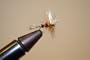 Royal Wullf Fly, Size 14, Price Per 3 Flies