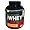 OPTIMUM NUTRITION, 100% WHEY GOLD MILK CHOC 5LB