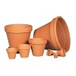 New England Pottery 10130 Standard Clay Pot