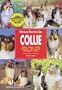 Manual practico del Collie / Practical Manual of Collie (Spanish Edition)