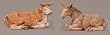 Fontanini 3.5" Seated Donkey and Ox Christmas Nativity Sets #55014