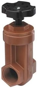 Gate Valve, 2 In, FNPT, Acetal Copolymer