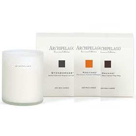 Archipelago Botanicals 'Excursion' Boxed Soy Candles - 9.5 oz