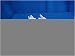 Gloves LDS DBL PLM K/W 12PR